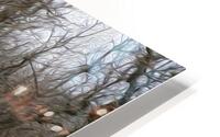 brambles HD Metal print