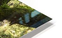 Natural Window HD Metal print