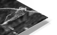 Mossy Twig HD Metal print
