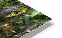 Proxy Falls 2 HD Metal print