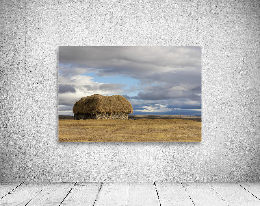 WYOMING Wall Preview