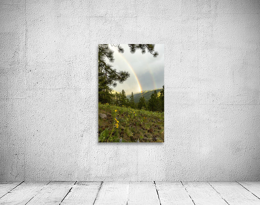 MONTANA Wall Preview