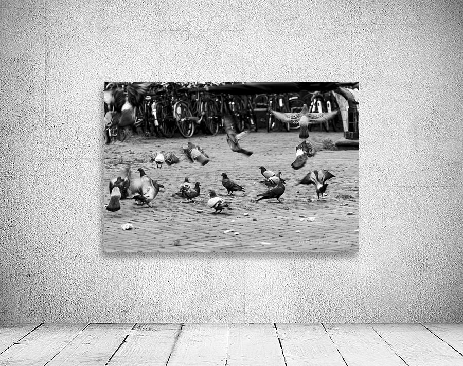 The Birds Wall Preview