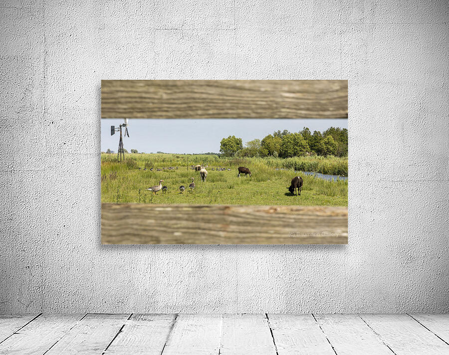 On the Farm Wall Preview