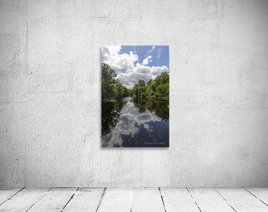 Beautiful Bayou Wall Preview