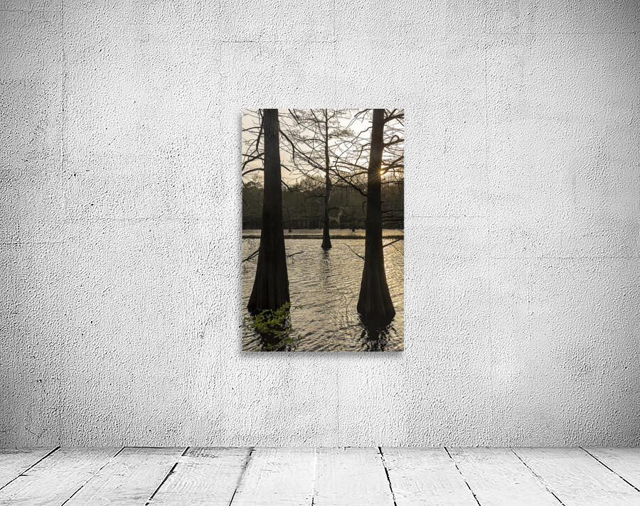 Simple Louisiana  Wall Preview