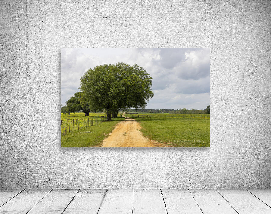 Run Forrest Wall Preview