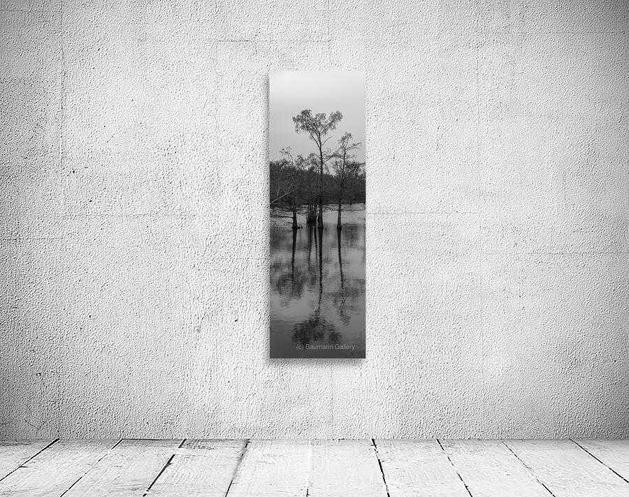 Bayou Wall Preview