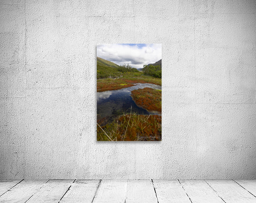 Roadside Puddle Wall Preview