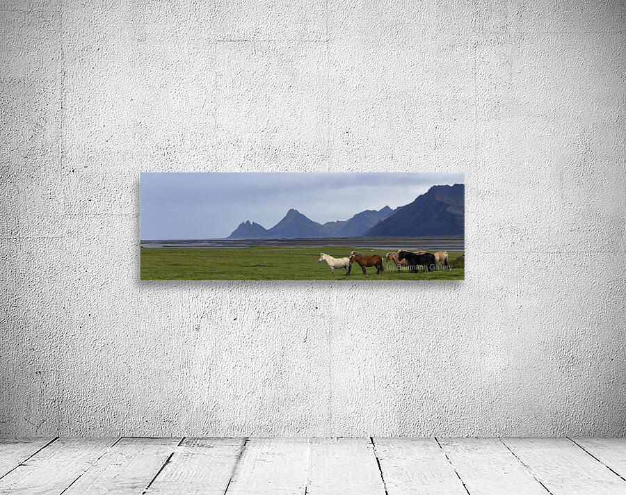 Look East Wall Preview