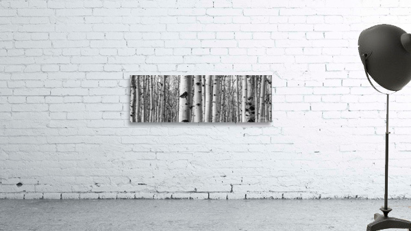 Aspen Wall Preview