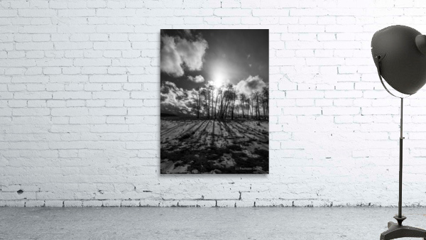 Long Shadows at Dusk Wall Preview