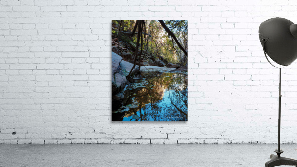 Emerald Pools Wall Preview