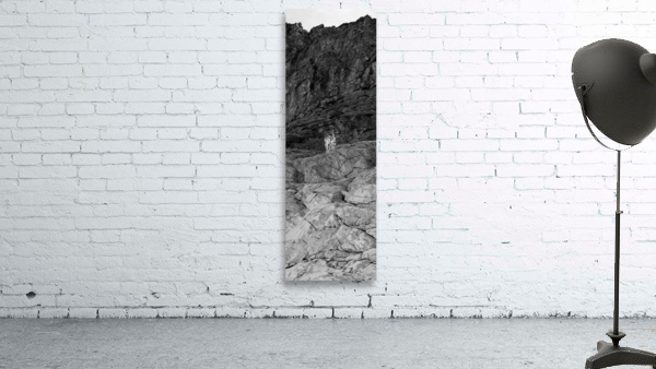 Bright Bush Wall Preview