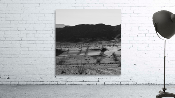 Andy Alone Wall Preview