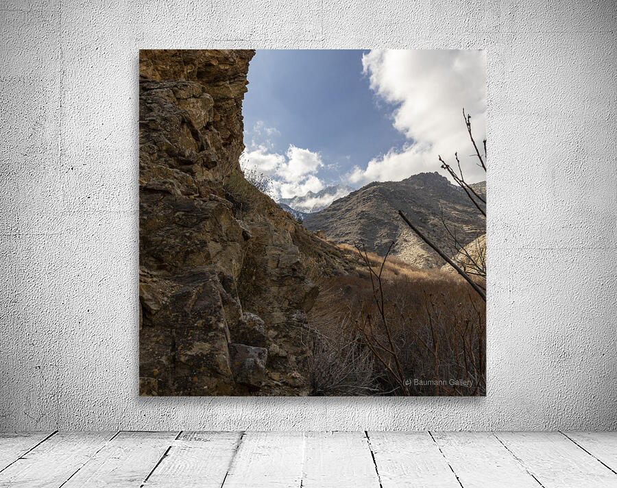 High and Dry Wall Preview