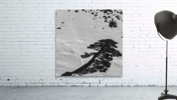 Shadow and Stone Wall Preview