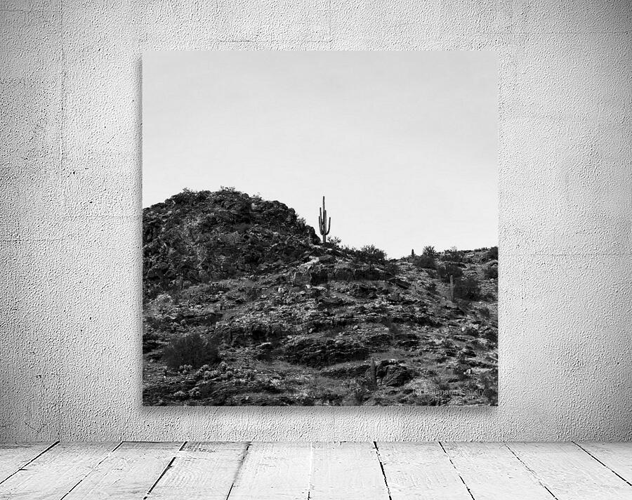 Alone on a Hill Wall Preview