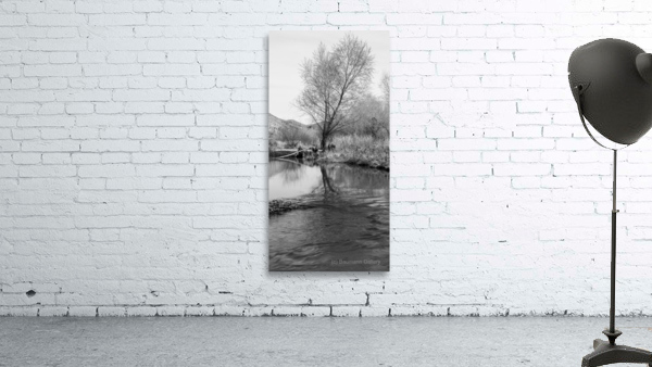 Washed Reflection Wall Preview