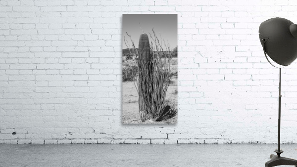 Prickly Friends Wall Preview