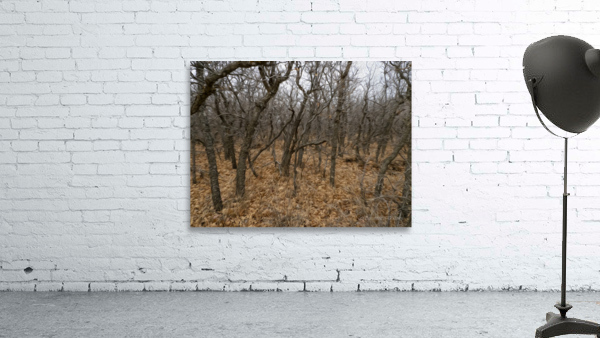 brambles Wall Preview