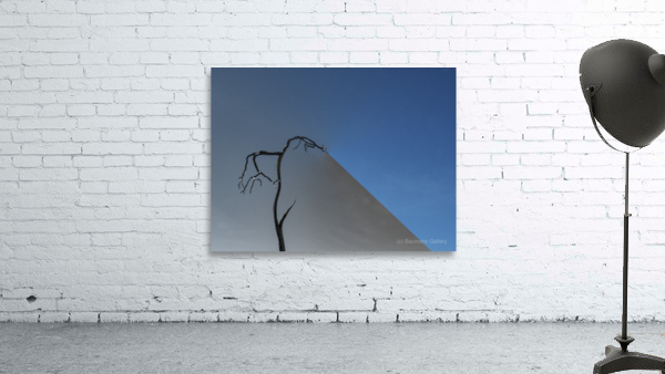 Fade to Gray Shadow Wall Preview