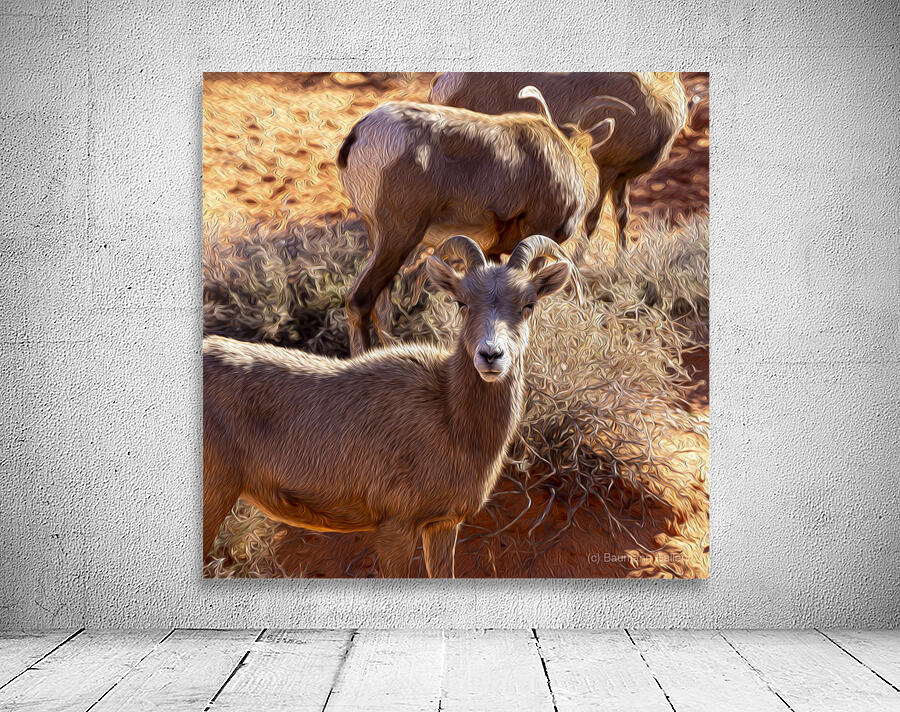 goat Wall Preview