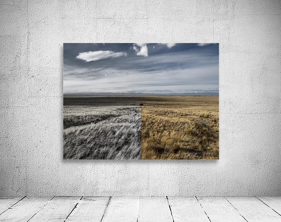 Fade to Gray Wall Preview