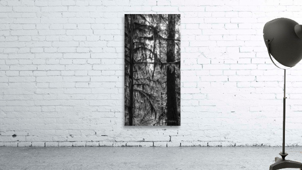 Stand Tall Wall Preview