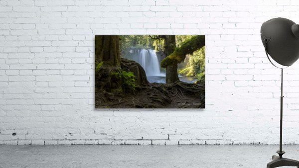 Natural Window Wall Preview