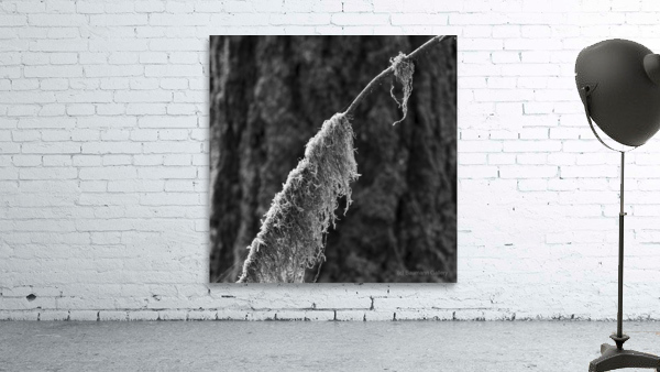Mossy Twig Wall Preview
