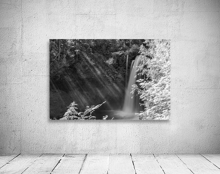 Touched by Light Wall Preview