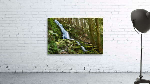White Step Falls Wall Preview