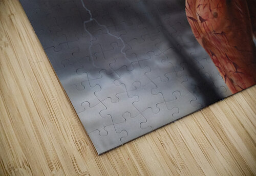 Matthew 27: 45-46 Perfect Imijre puzzle