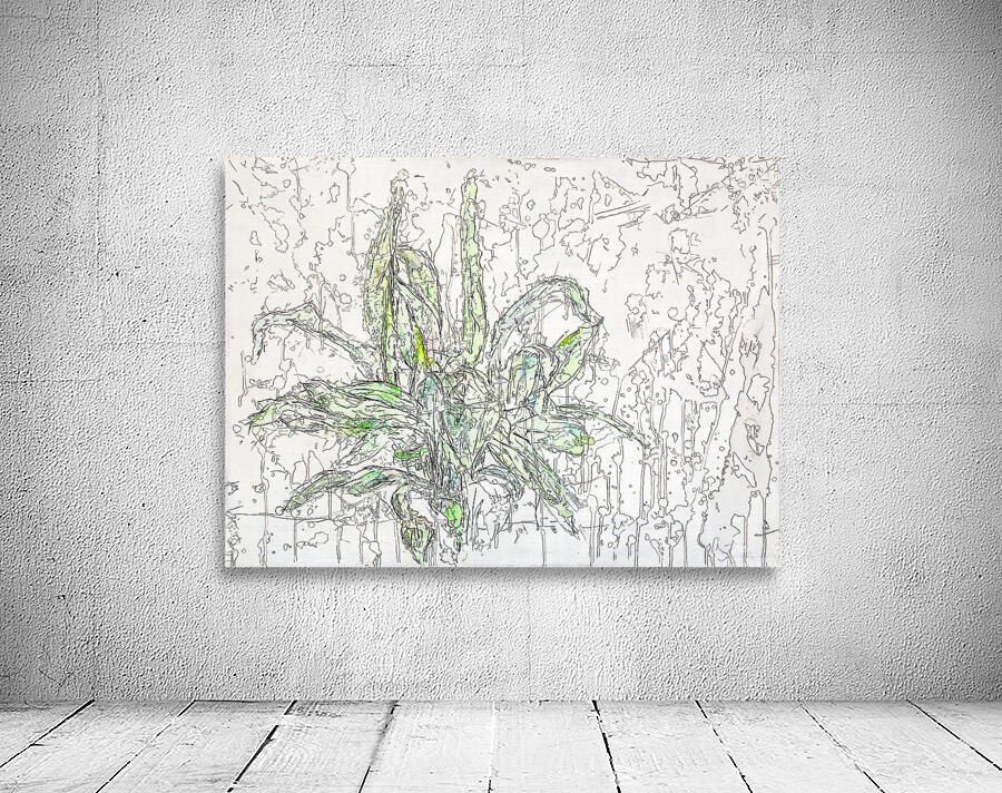 MEDUSA Wall Preview