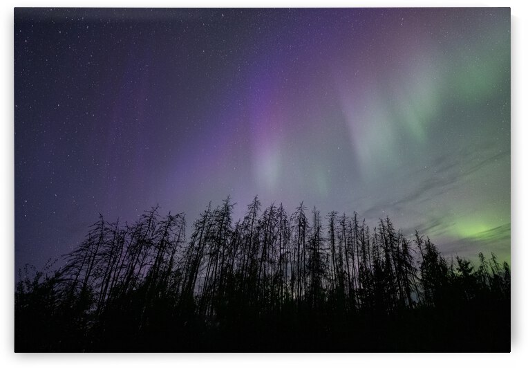 New lens on life Residents of Pinehouse in northern Saskatchewan are using photography to heal from trauma by Dre Erwin Photography