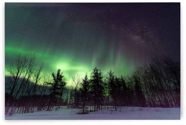 The Aurora of Northern Saskatchewan | Pinehouse Lake | Dre Erwin by Dre Erwin Photography