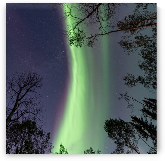 Enchanting Nighttime Canvas: Aurora Borealis Over Sandy Bay Saskatchewan by Dre Erwin Photography