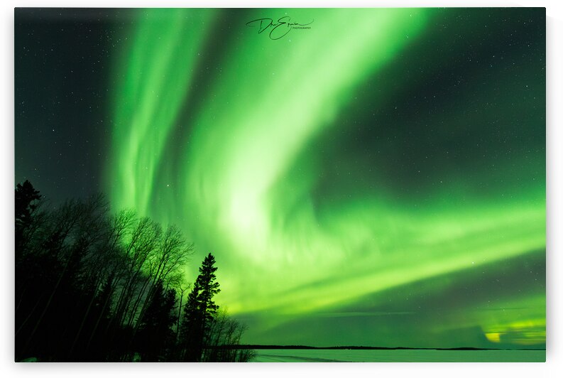 Arctic Aurora: Saskatchewans Winter Majesty by Dre Erwin by Dre Erwin Photography