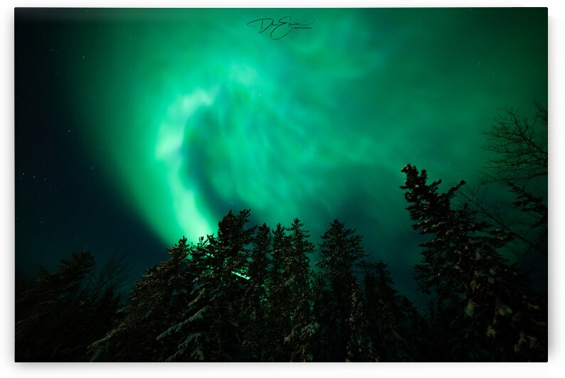 Frozen Kaleidoscope: Dre Erwins Arctic Vision by Dre Erwin Photography