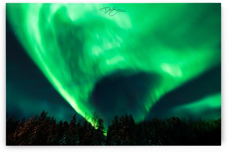 Celestial Symphony: Dre Erwins Aurora Borealis in Northern Saskatchewans Pinehouse by Dre Erwin Photography