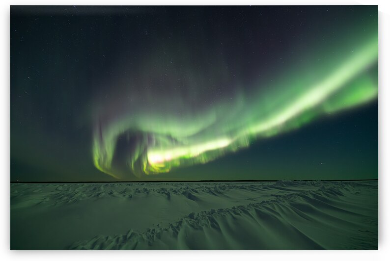 Winters Aurora: Saskatchewans Snowy Northern Lights by Dre Erwin by Dre Erwin Photography
