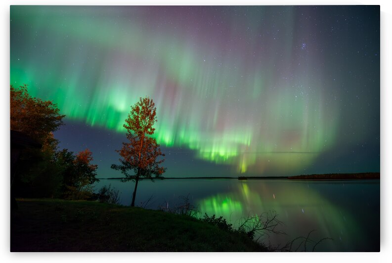 Northern Lights Symphony: Aurora Dance Over Pinehouse Lake by Dre Erwin Photography