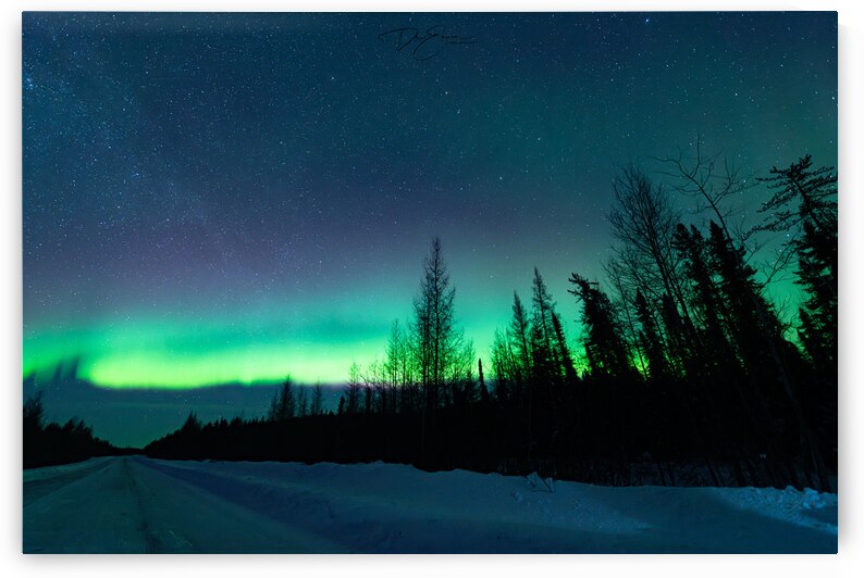 Remote Saskatchewan Beauty: Dre Erwins Winter Capture of a Boreal Forest Northern Lights and a Serene Dirt Road by Dre Erwin Photography