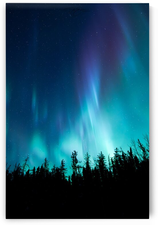 Ethereal Illumination: Dre Erwins Therapeutic Photography of Northern Lights Above Saskatchewans Boreal Forest by Dre Erwin Photography