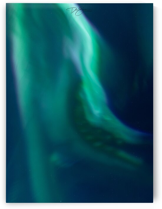 Enigmatic Encounter: Witnessing a Wolf amidst the Northern Lights in Canadas North by Dre Erwin Photography