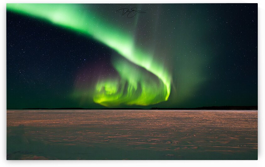 Saskatchewans Winter Aurora: A Grateful Gaze to Cold Nights Canvas - Dre Erwin Pinehouse Lake by Dre Erwin Photography
