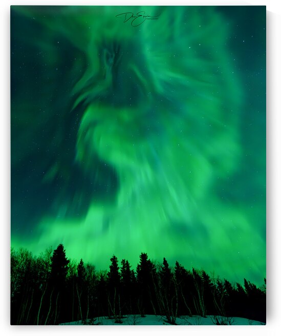 Enchanted Vision: Unicorn Amidst Northern Lights by Dre Erwin Photography