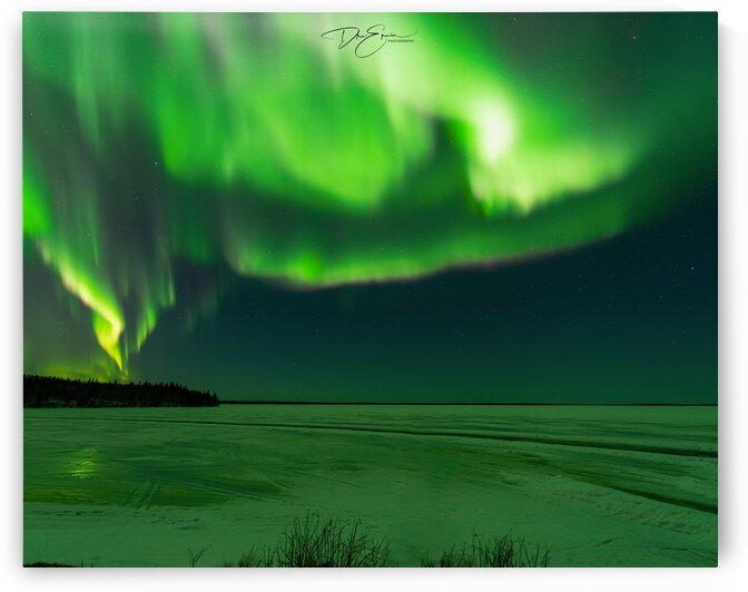 Pinehouse Lake Winters Aurora Borealis: Bringing the Chill to Your Warm Home by Dre Erwin Photography