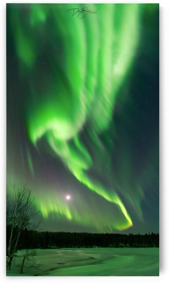 Eagle Spirit in Winters Aurora: Dre Erwins Pinehouse Lake Wonder by Dre Erwin Photography